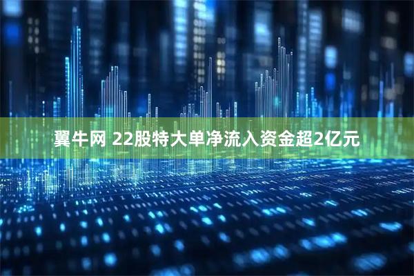 翼牛网 22股特大单净流入资金超2亿元
